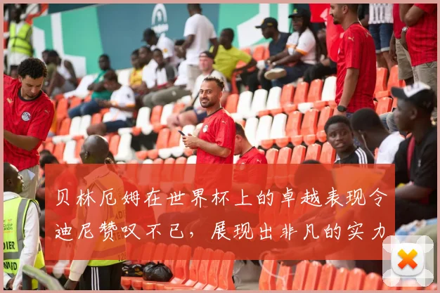 贝林厄姆在世界杯上的卓越表现令迪尼赞叹不已，展现出非凡的实力与魅力