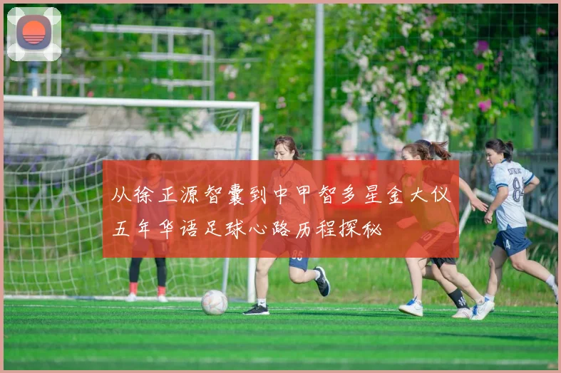 从徐正源智囊到中甲智多星金大仪五年华语足球心路历程探秘